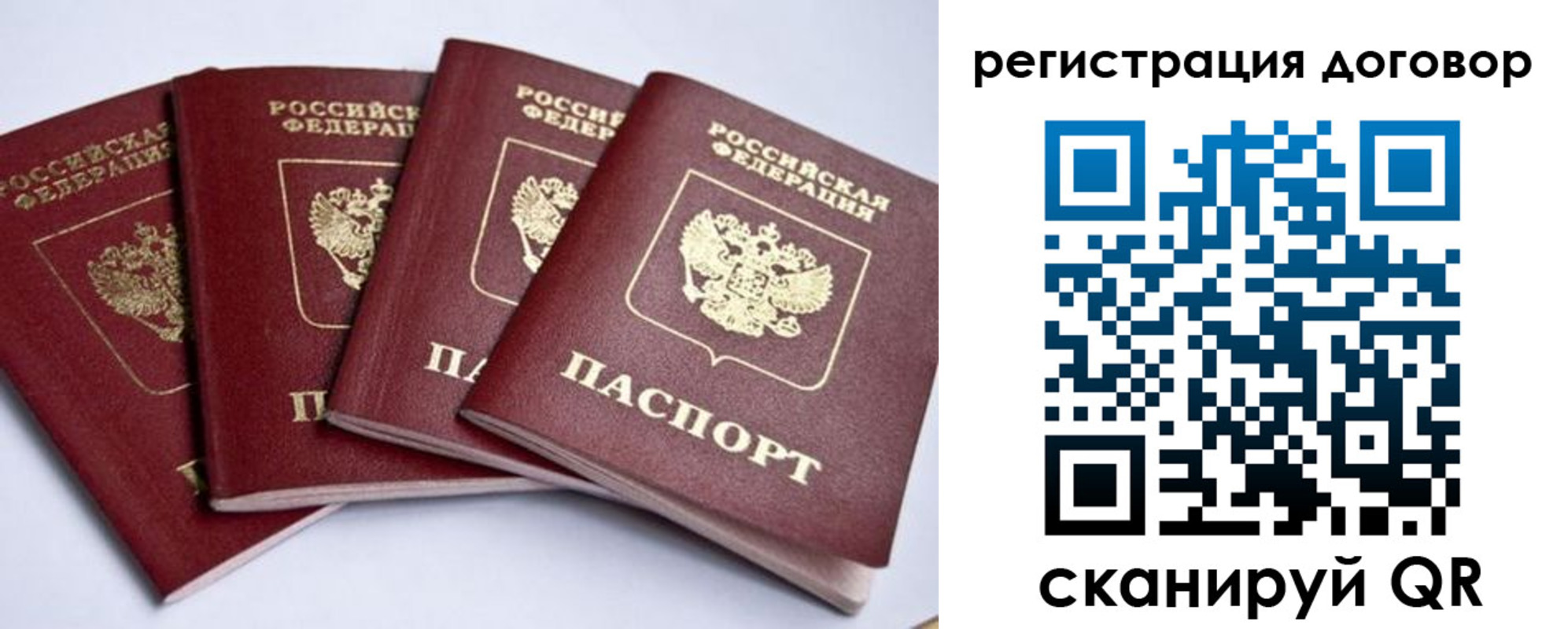 прописка поиск в Тульской области